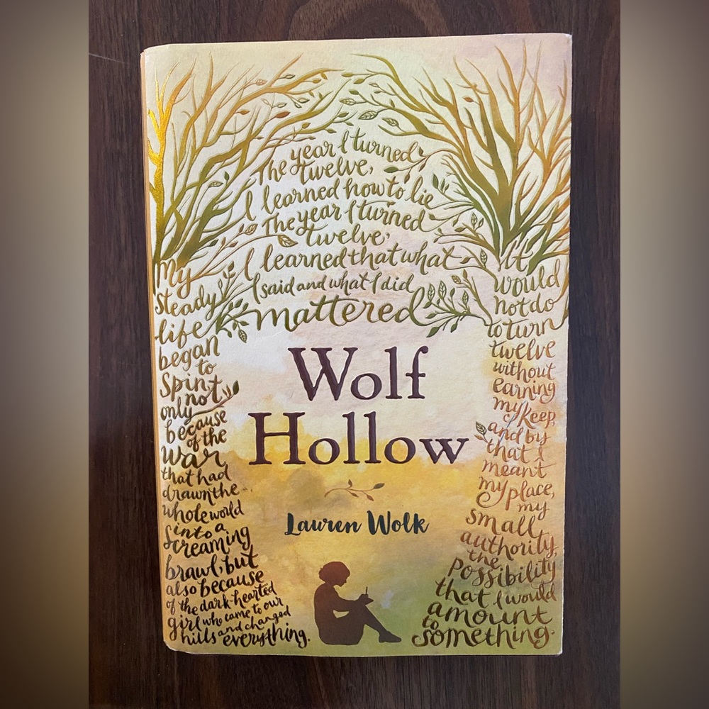 Young Adult Book: Wolf Hollow by Lauren Wolk - hard cover - like new condition